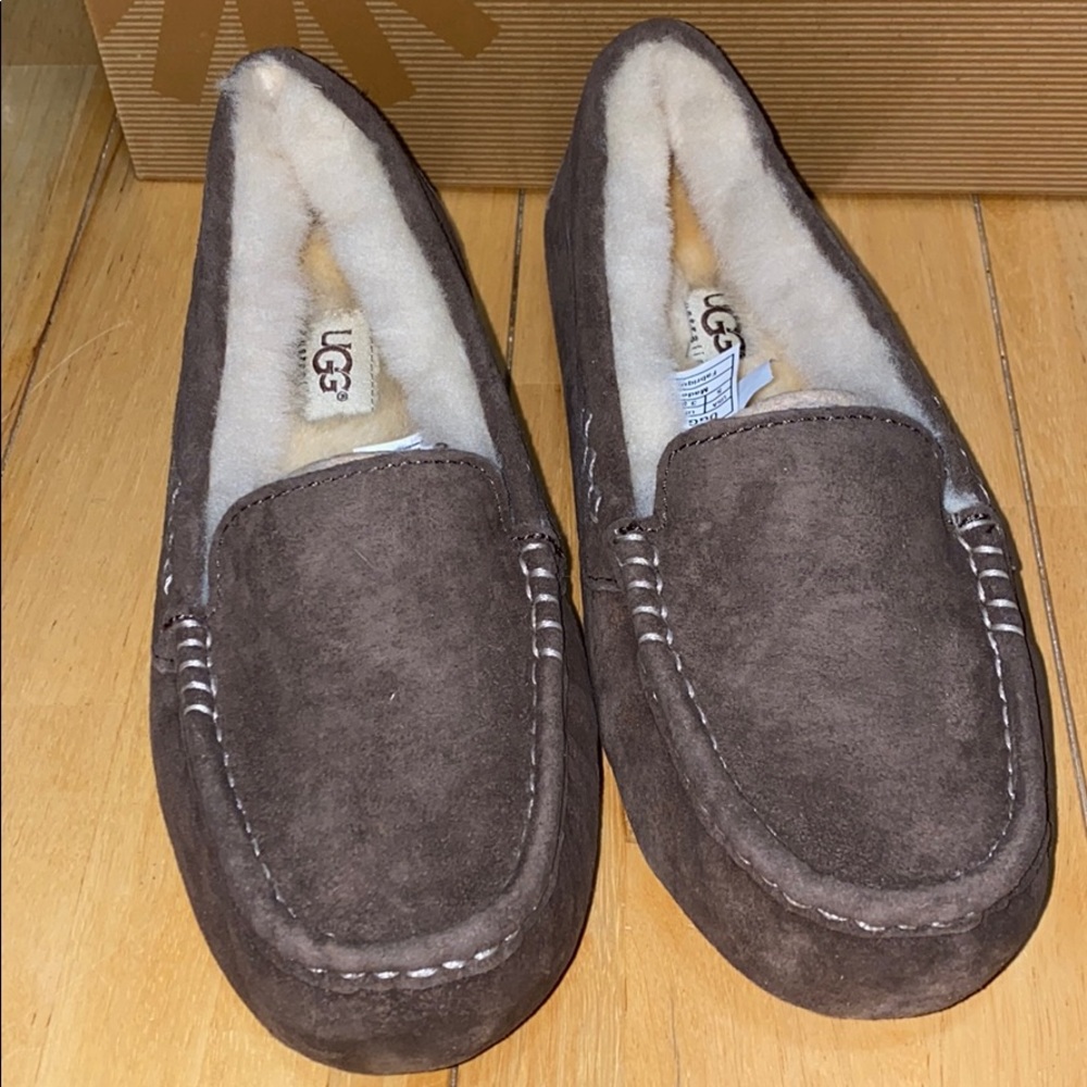 AUTH NIB UGG ANSLEY CHOCOLATE US5/UK3